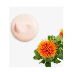 Shiseido ​Vital Perfection Uplifting And Firming Day Cream -Shiseido https3A2F2Fimage.s5a.com2Fis2Fimage2FTheBay2F730852149373 alt43Fwid3D120026hei3D120026qlt3D9026resMode3Dsharp226op usm3D0.92C1.02C82C0 640x