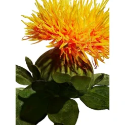 Shiseido ​Vital Perfection Uplifting And Firming Cream -Shiseido https3A2F2Fimage.s5a.com2Fis2Fimage2FTheBay2F730852149397 alt63Fwid3D120026hei3D120026qlt3D9026resMode3Dsharp226op usm3D0.92C1.02C82C0 640x