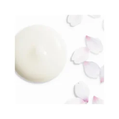 Shiseido ​White Lucent Illuminating Micro-Spot Serum -Shiseido https3A2F2Fimage.s5a.com2Fis2Fimage2FTheBay2F730852160439 alt33Fwid3D120026hei3D120026qlt3D9026resMode3Dsharp226op usm3D0.92C1.02C82C0 640x